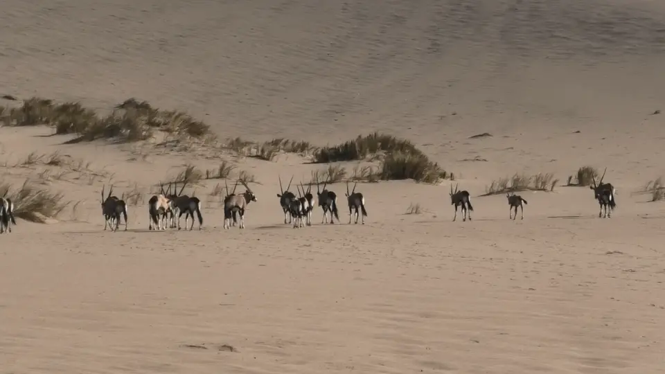 Screenshot(19).png