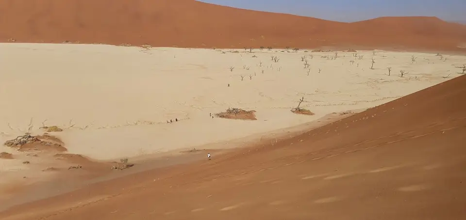 k-20211019_090626.jpg