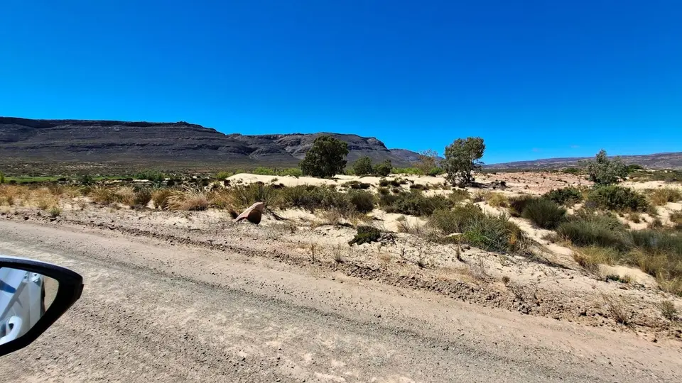 k-20240308_115933.jpg