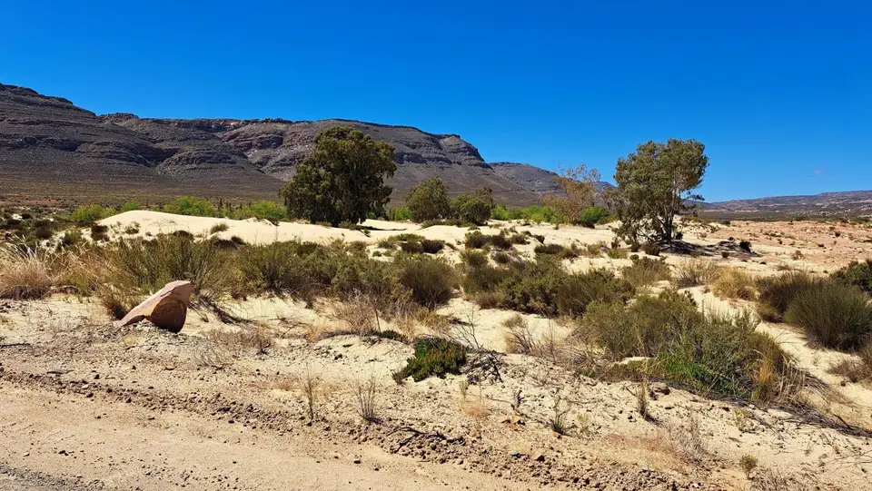 k-20240308_115937.jpg