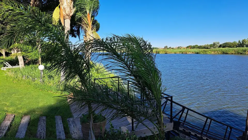 k-20240313_171323.jpg