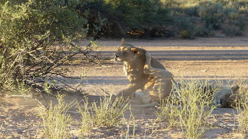 k-NamibiaFotos6034.JPG