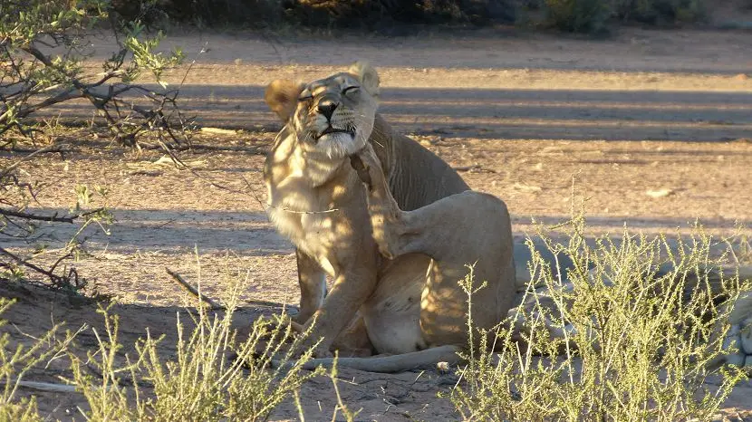 k-NamibiaFotos6037.JPG