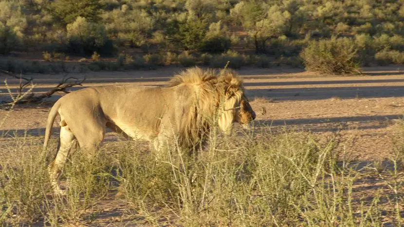 k-NamibiaFotos6042.JPG