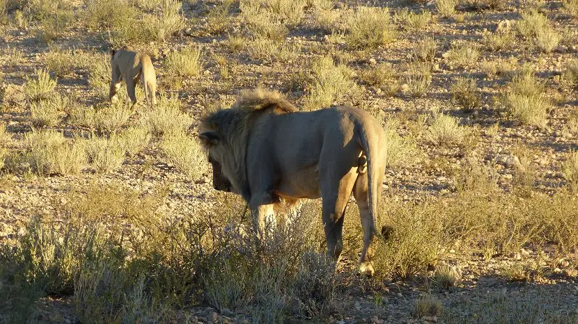 k-NamibiaFotos6045.JPG