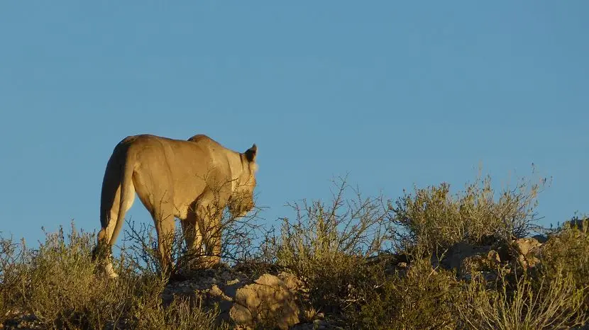 k-NamibiaFotos6051.JPG