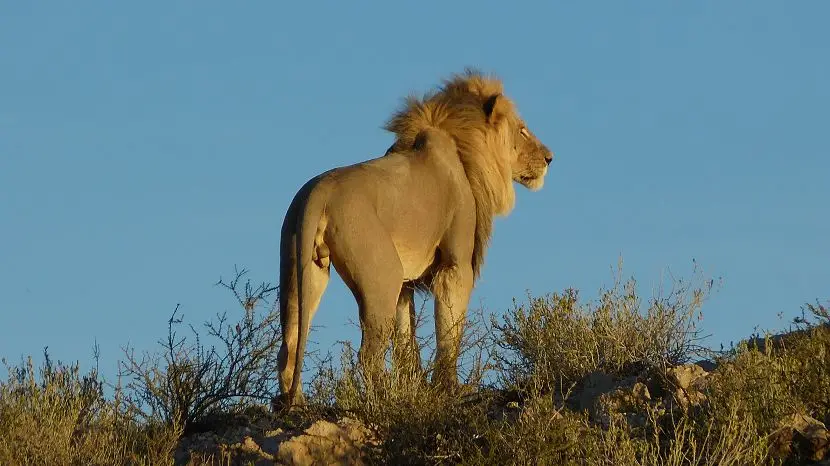 k-NamibiaFotos6055.JPG