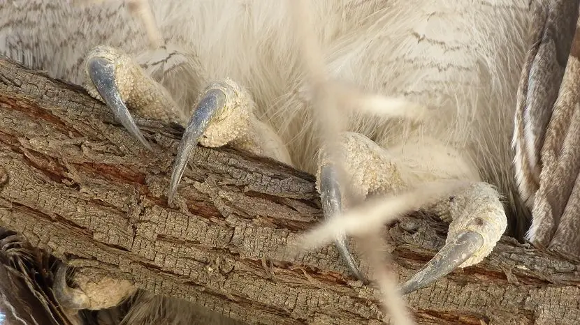 k-NamibiaVideo4063.JPG