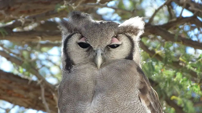 k-NamibiaVideo4068.JPG