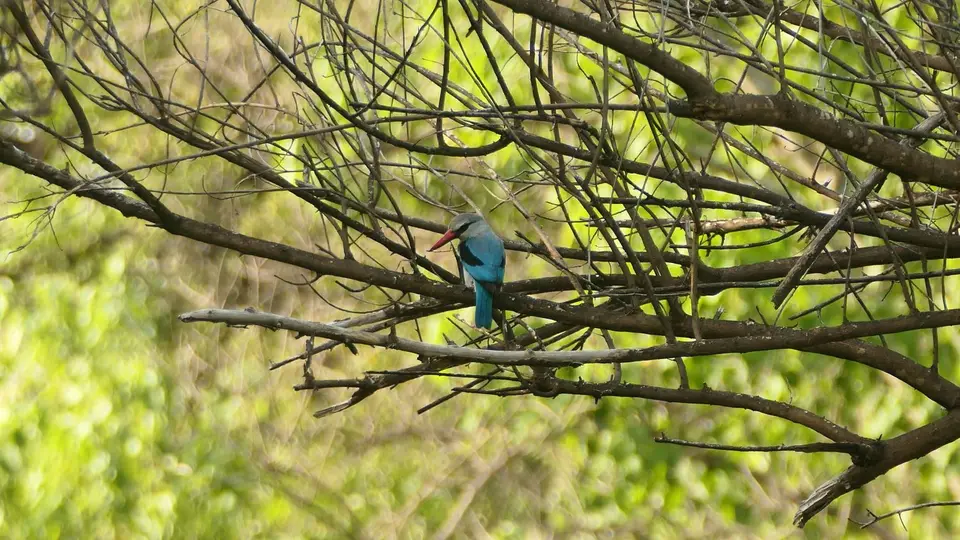 k-P1012176.JPG
