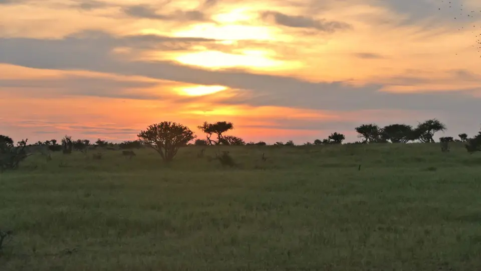 k-P1012223.JPG
