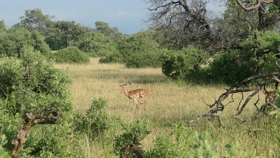 k-P1012384.JPG