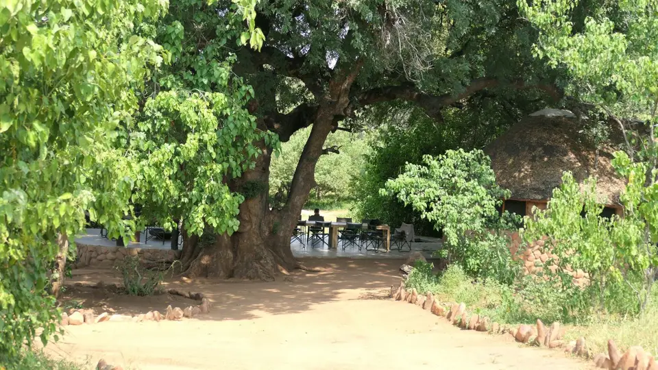 k-P1012428.JPG