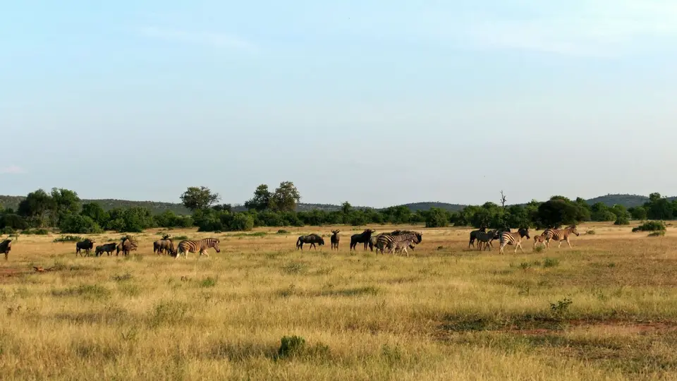k-P1012554.JPG