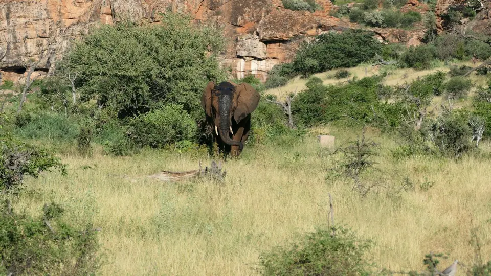 k-P1012733.JPG