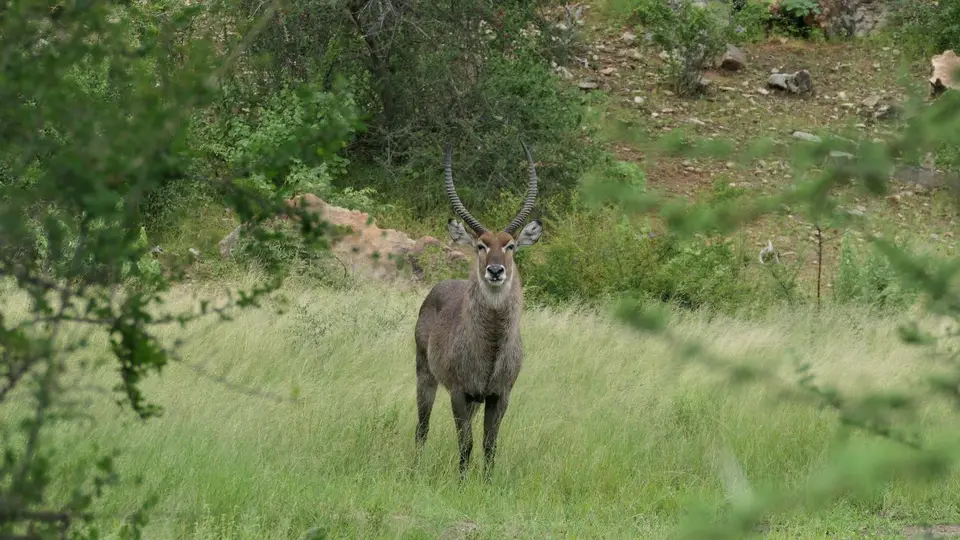 k-P1012790.JPG