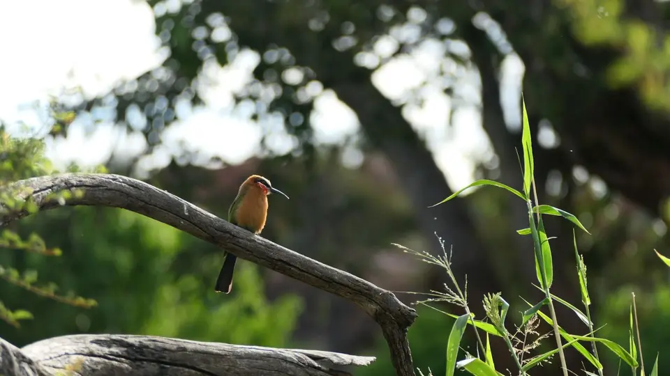 k-P1012897.JPG