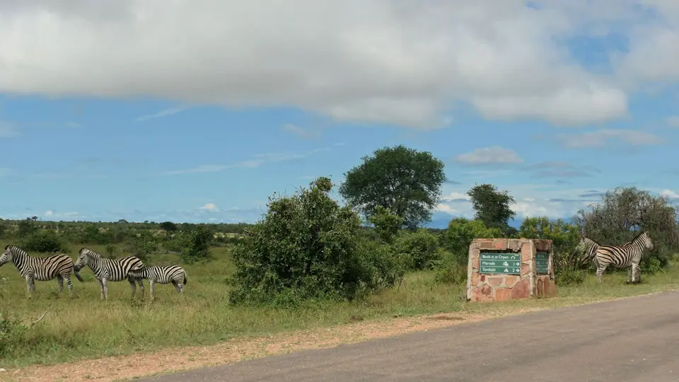 k-P1023216.JPG