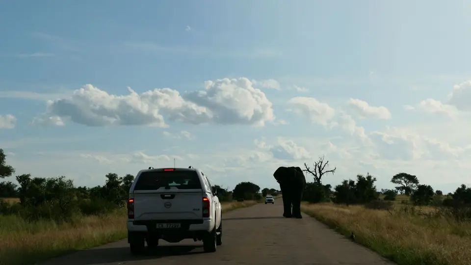 k-P1023267.JPG