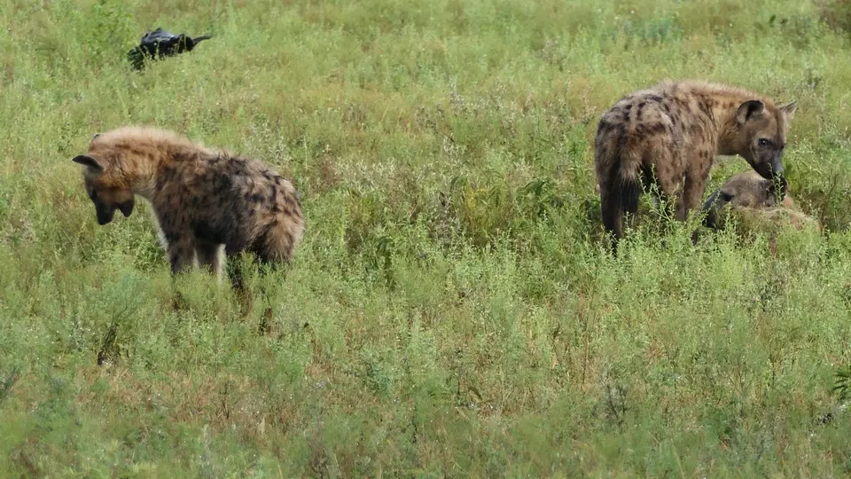 k-P1023354.JPG