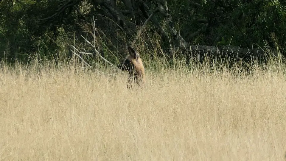 k-P1023364.JPG