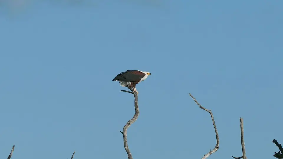 k-P1023655.JPG