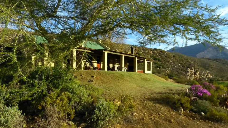 k-P1120658.JPG