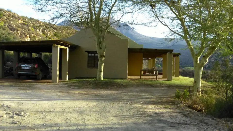 k-P1120661.JPG