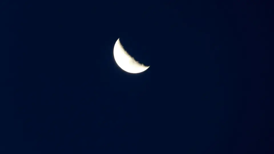 k-P1120791.JPG
