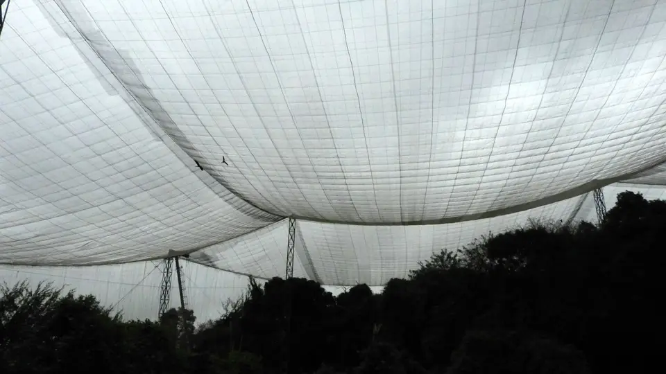k-P1130192.JPG
