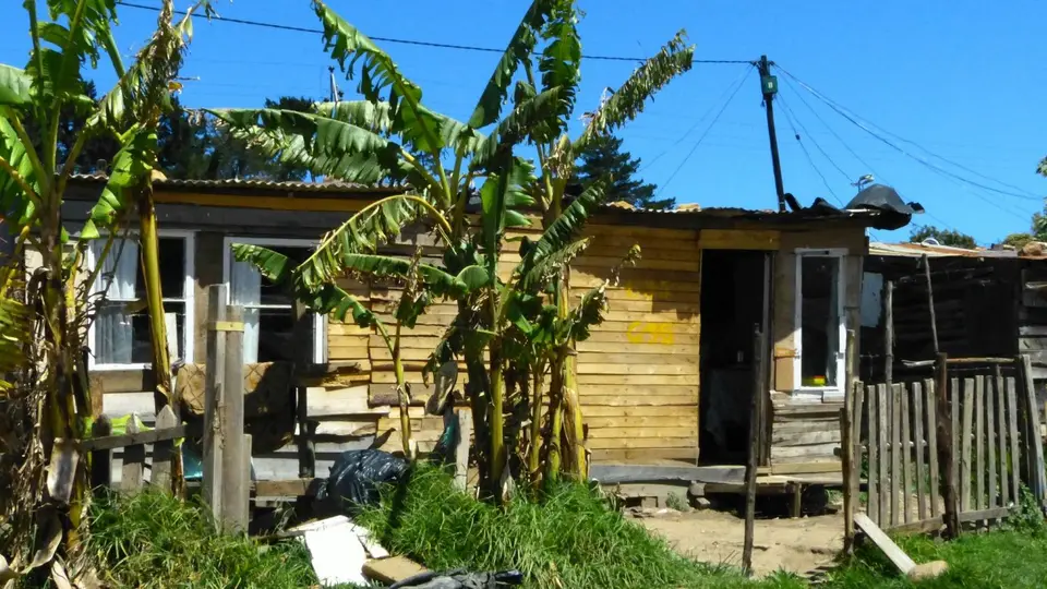 k-P1130326.JPG