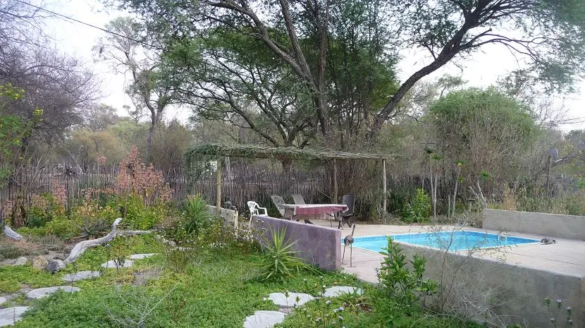 k-P1140377.JPG