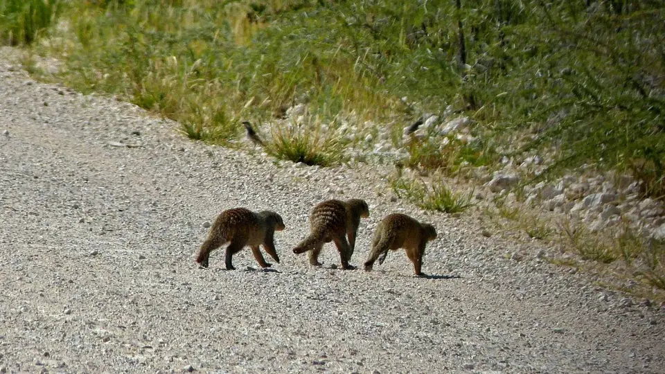 k-P1150460.JPG