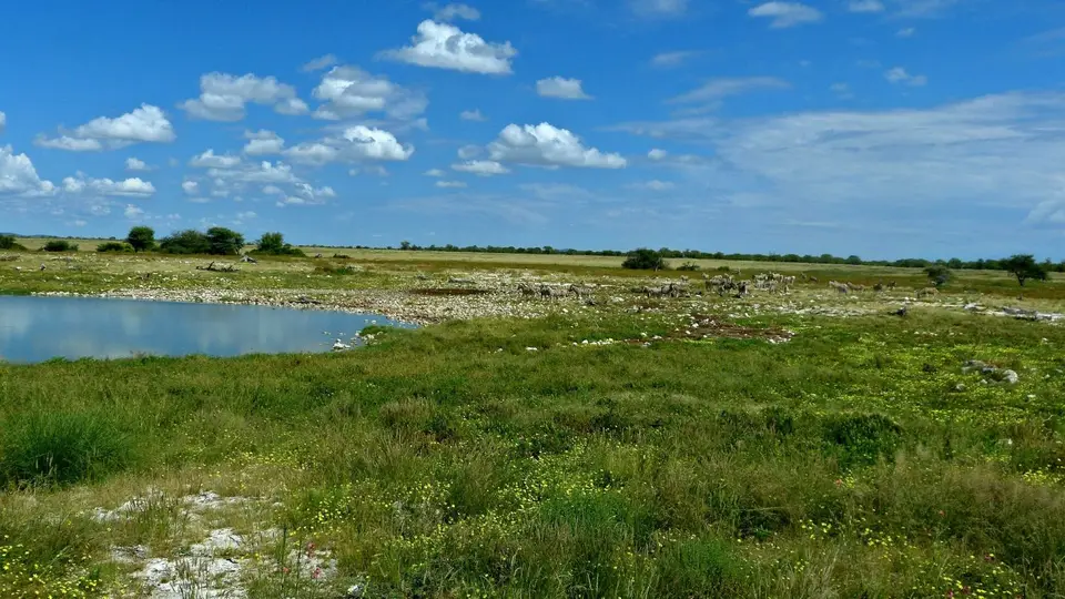 k-P1150599.JPG