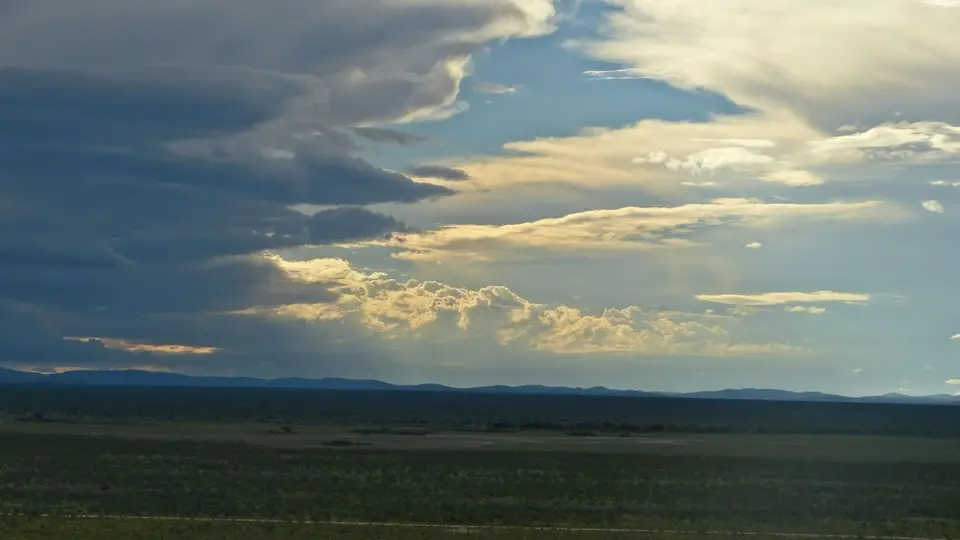 k-P1150797.JPG