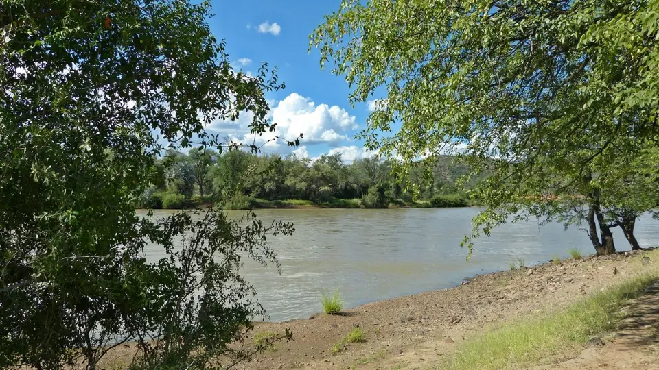 k-P1150839.JPG