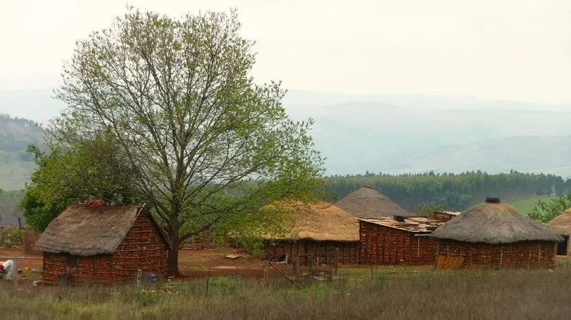 k-P1160624.JPG