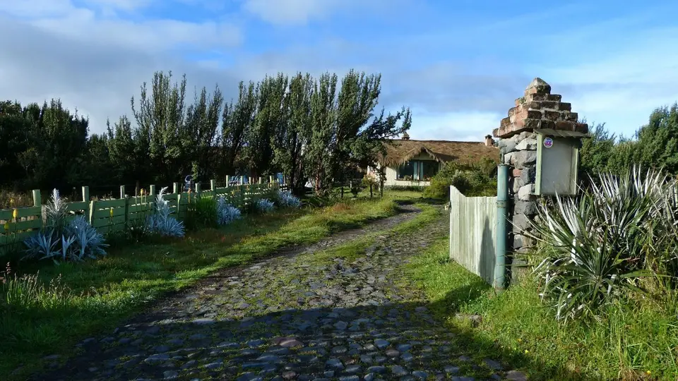 k-P1220806.JPG
