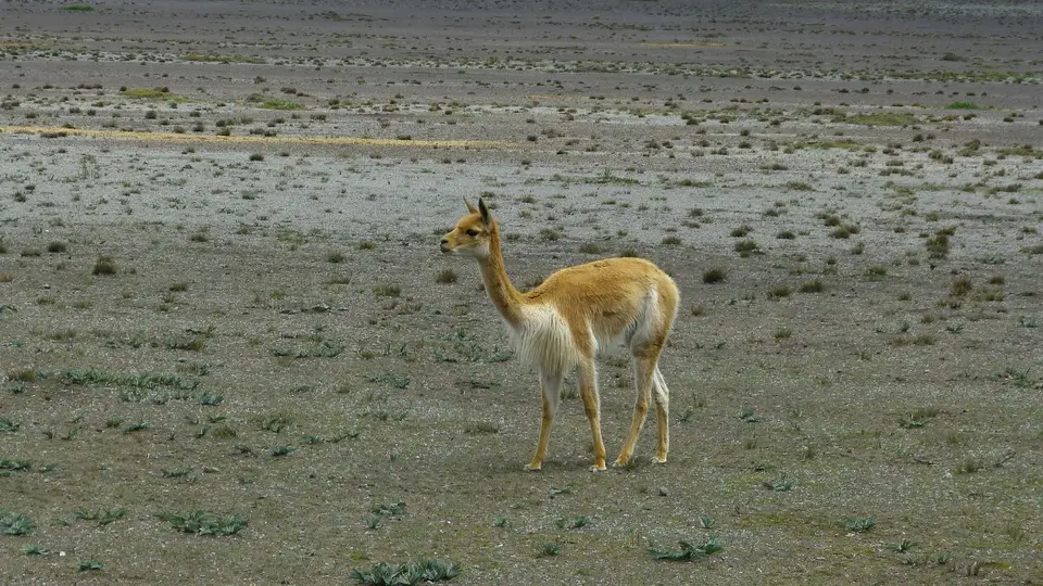 k-P1230362.JPG