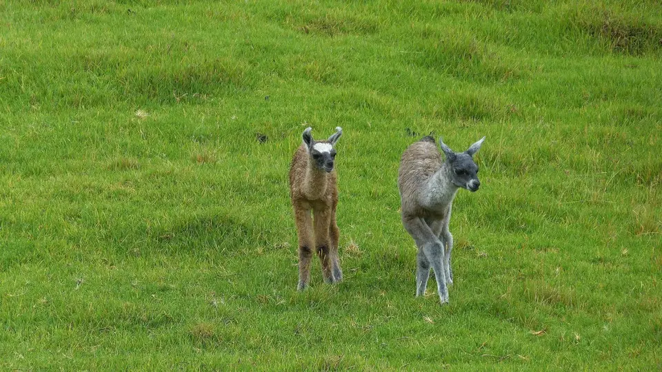 k-P1230499.JPG