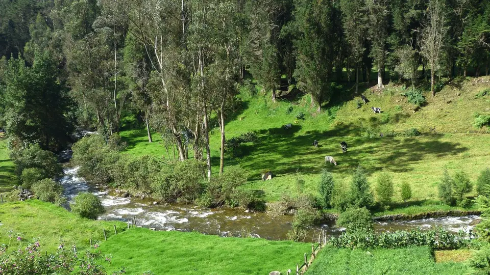 k-P1230583.JPG