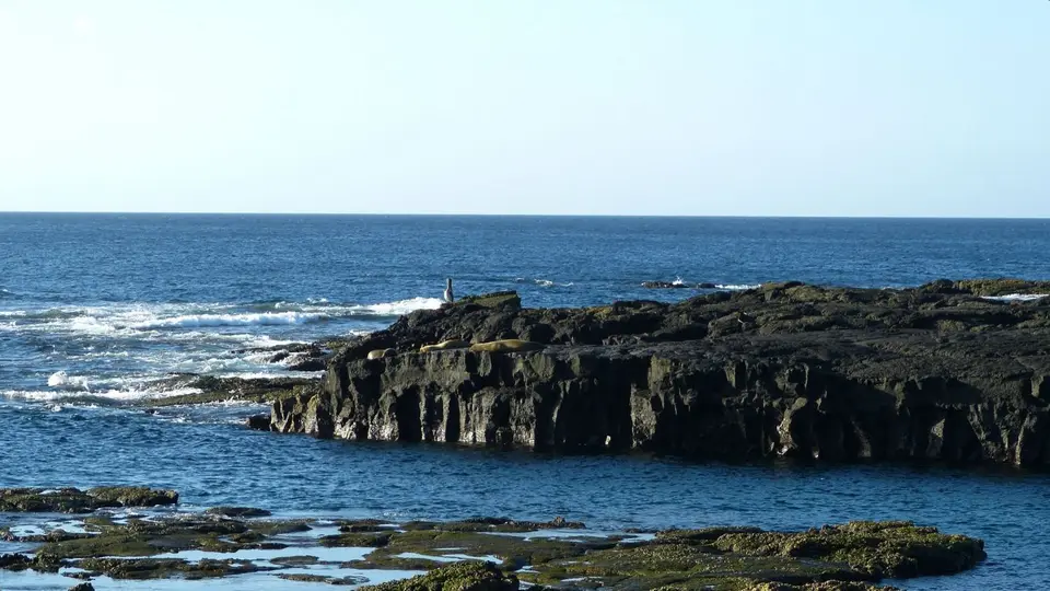 k-P1240232.JPG