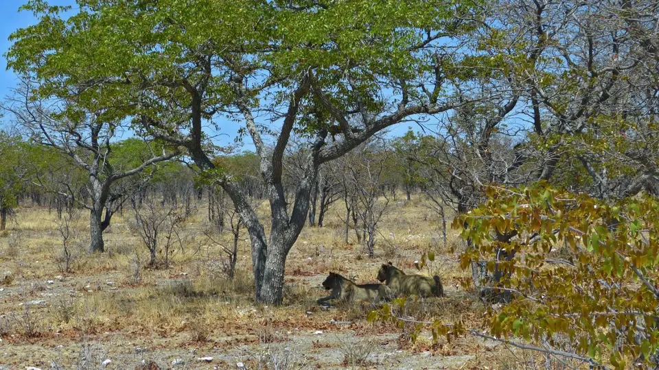 k-P1270263.JPG