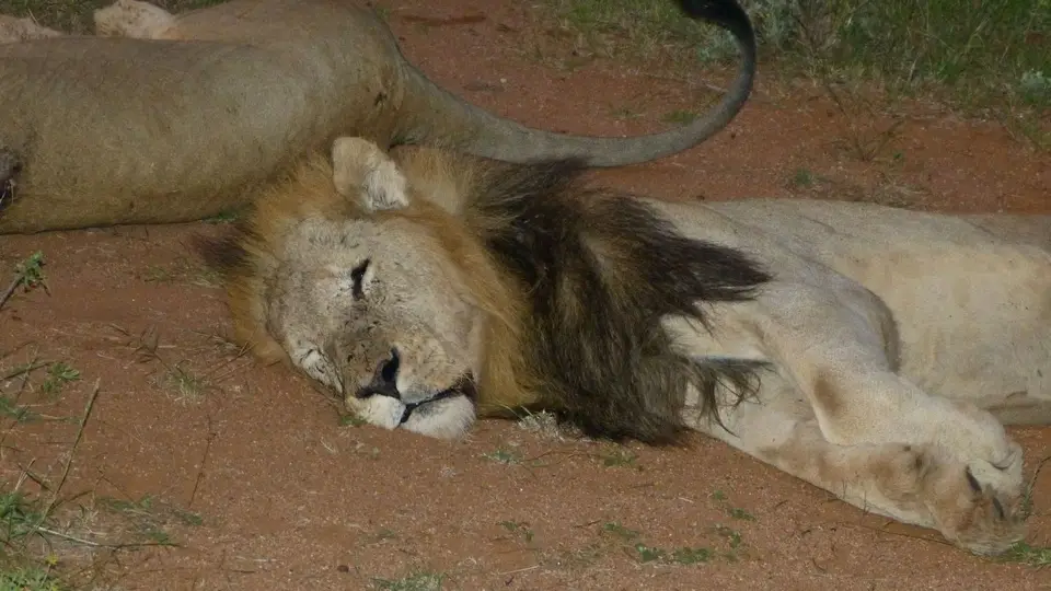 k-P1270695.JPG