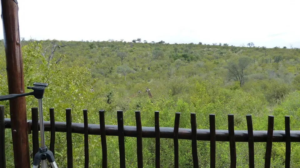 k-P1270751.JPG