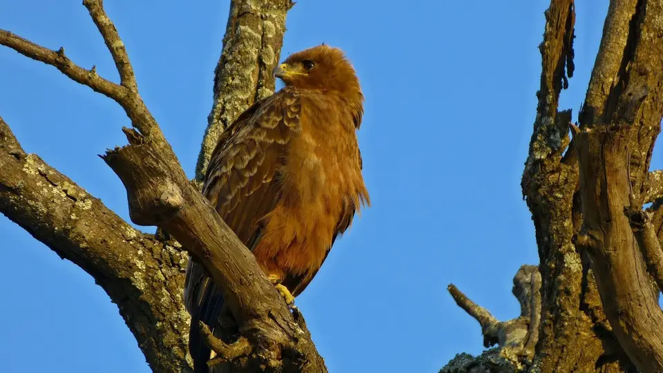 k-P1280355.JPG
