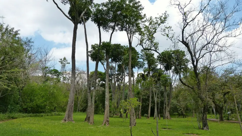 k-P1280433.JPG