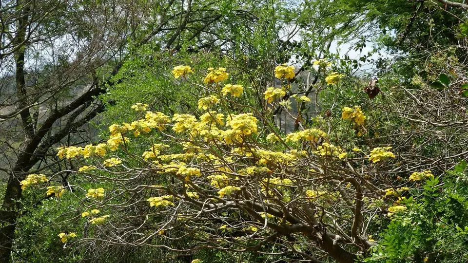 k-P1280434.JPG