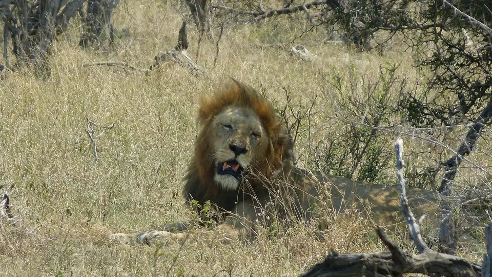 k-P1280509.JPG