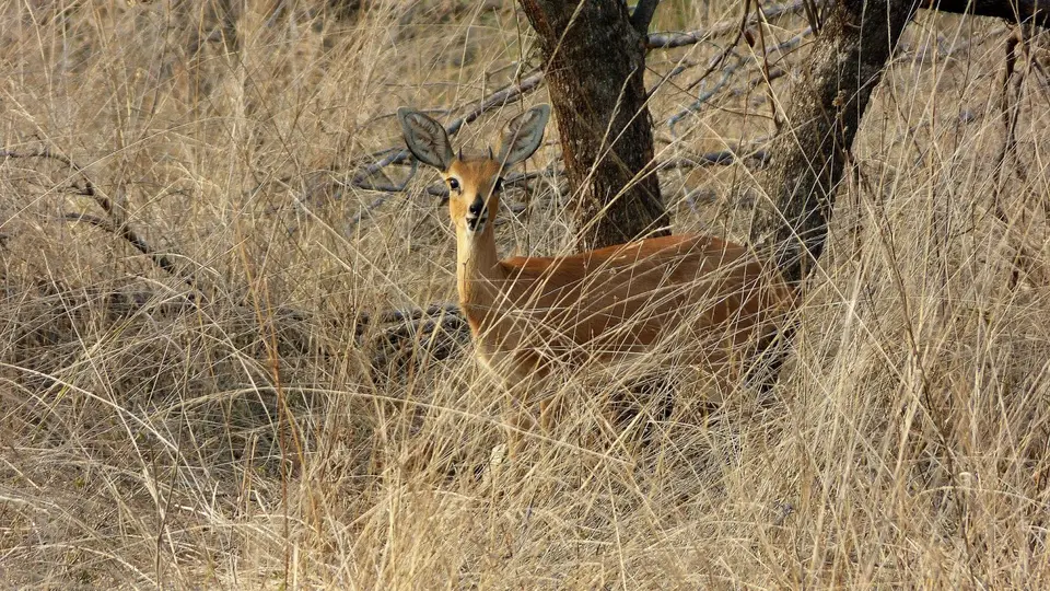 k-P1280725.JPG